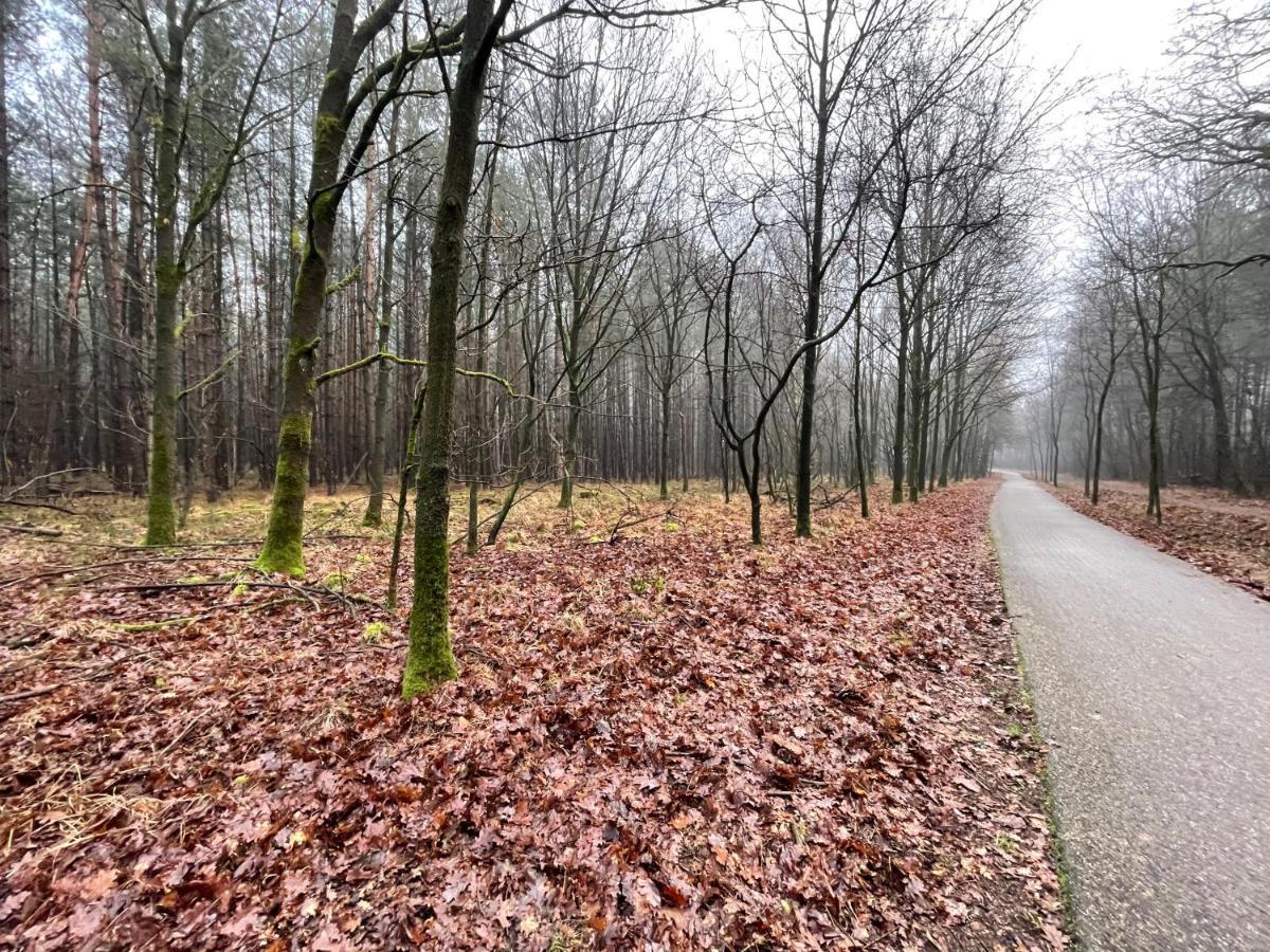 Elle'Belle Oudsbergen I 1-, 2- Or 3-Bedrooms Opglabbeek ภายนอก รูปภาพ